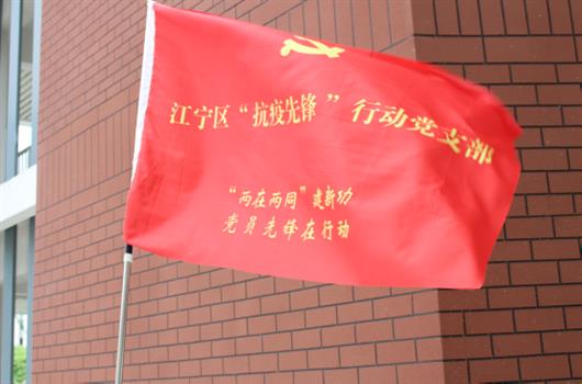 冲锋在前 素质过硬 时代先锋 民族脊梁——南京市上元中学党员志愿者的样子